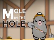 遊戲Hole在線