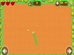 遊戲Fruit Snake在線