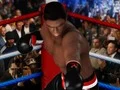遊戲Ultimate Boxing在線