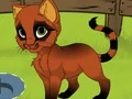 遊戲My Kitten在線
