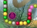 遊戲Lost Island在線