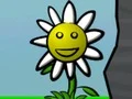 遊戲Flower Power在線