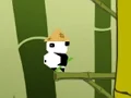 遊戲Panda Jump在線