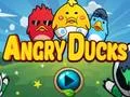 遊戲Angry Ducks在線
