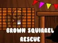 遊戲Brown Squirrel Rescue在線
