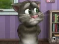 遊戲Talking Tom Cat 2在線