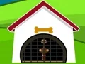 遊戲Ostrich Rescue在線