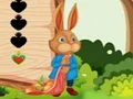 遊戲Squirrel Escape在線