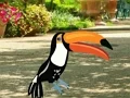 遊戲Find Woodpecker Pair在線