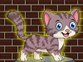 遊戲Loveable Small Cat Escape在線