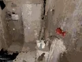 遊戲Occupied在線