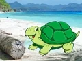 遊戲Beach Crab Pair Escape在線