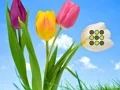 遊戲Flower Lawn Escape在線