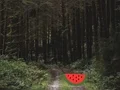 遊戲Dense Forest Deer Escape在線