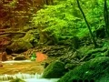 遊戲Peaceful Rainbow Forest Escape在線