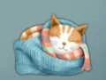 遊戲Adorable Escape Find Cute Kitten在線