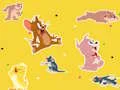 遊戲The Tom and Jerry Show Find it!在線