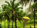 遊戲Escape From Coconut Land在線