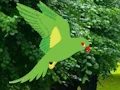 遊戲Parrot Find The Nest在線