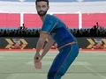 遊戲Cricket Powerplay在線