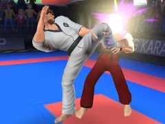 遊戲Karate Fighter在線