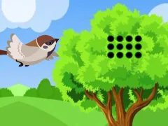 遊戲Sparrow Meets Crow Buddies在線