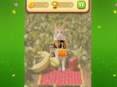 遊戲Farm Cat Memory Match在線