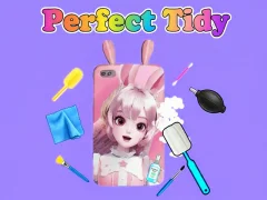 遊戲Perfect Tidy在線