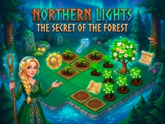 遊戲Northern Lights - The Secret Of The Forest在線