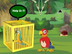 遊戲Release Trapped Macaw Buddy在線
