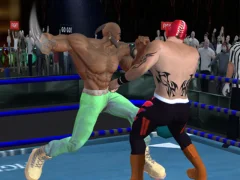 遊戲Real Boxing Fighting Game在線