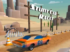遊戲Stunt car Races在線