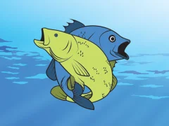 遊戲Friendly Fish Coloring在線