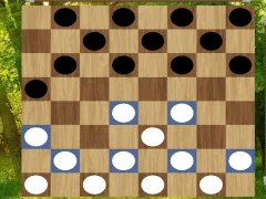 遊戲Classic Checkers: Forest在線
