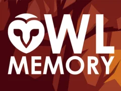 遊戲Owl Memory在線