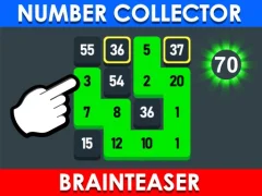 遊戲Number Collector: Brainteaser在線