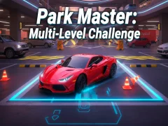 遊戲Park Master: Multi-Level Challenge在線