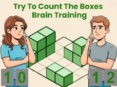 遊戲Try To Count The Boxes Brain Training在線