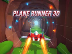 遊戲Plane Runner 3D在線