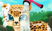 遊戲Paws to Beauty Baby Beast在線