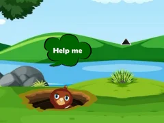 遊戲Help Injured Bird Fallen Down在線