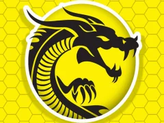 遊戲Kung Fu Fury在線