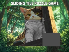 遊戲Sliding Tile Puzzle Game在線