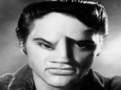 遊戲Elvis Funny Face在線