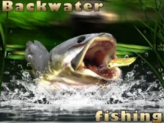 遊戲Backwater Fishing在線