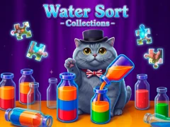 遊戲Water Sort - Collections在線