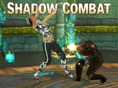 遊戲Shadow Combat在線