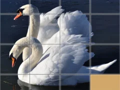 遊戲Animals Slide Puzzle在線