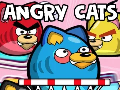 遊戲Angry Cats在線