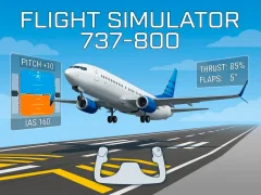 遊戲Flight Simulator 737-800在線